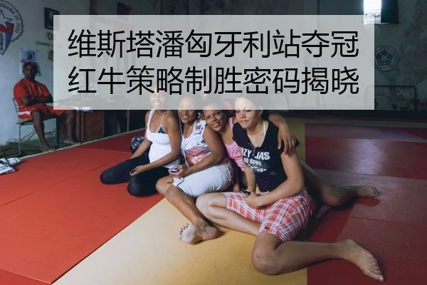 维斯塔潘匈牙利站夺冠 红牛策略制胜密码揭晓